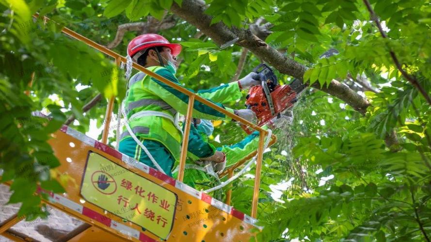 工业互联网技术应用高级指导